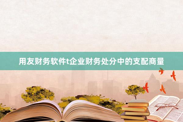 用友财务软件t企业财务处分中的支配商量